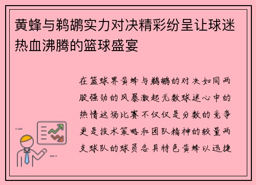 黄蜂与鹈鹕实力对决精彩纷呈让球迷热血沸腾的篮球盛宴